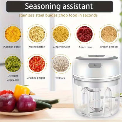 Mini Rechargeable Food Chopper & Smoothie Maker